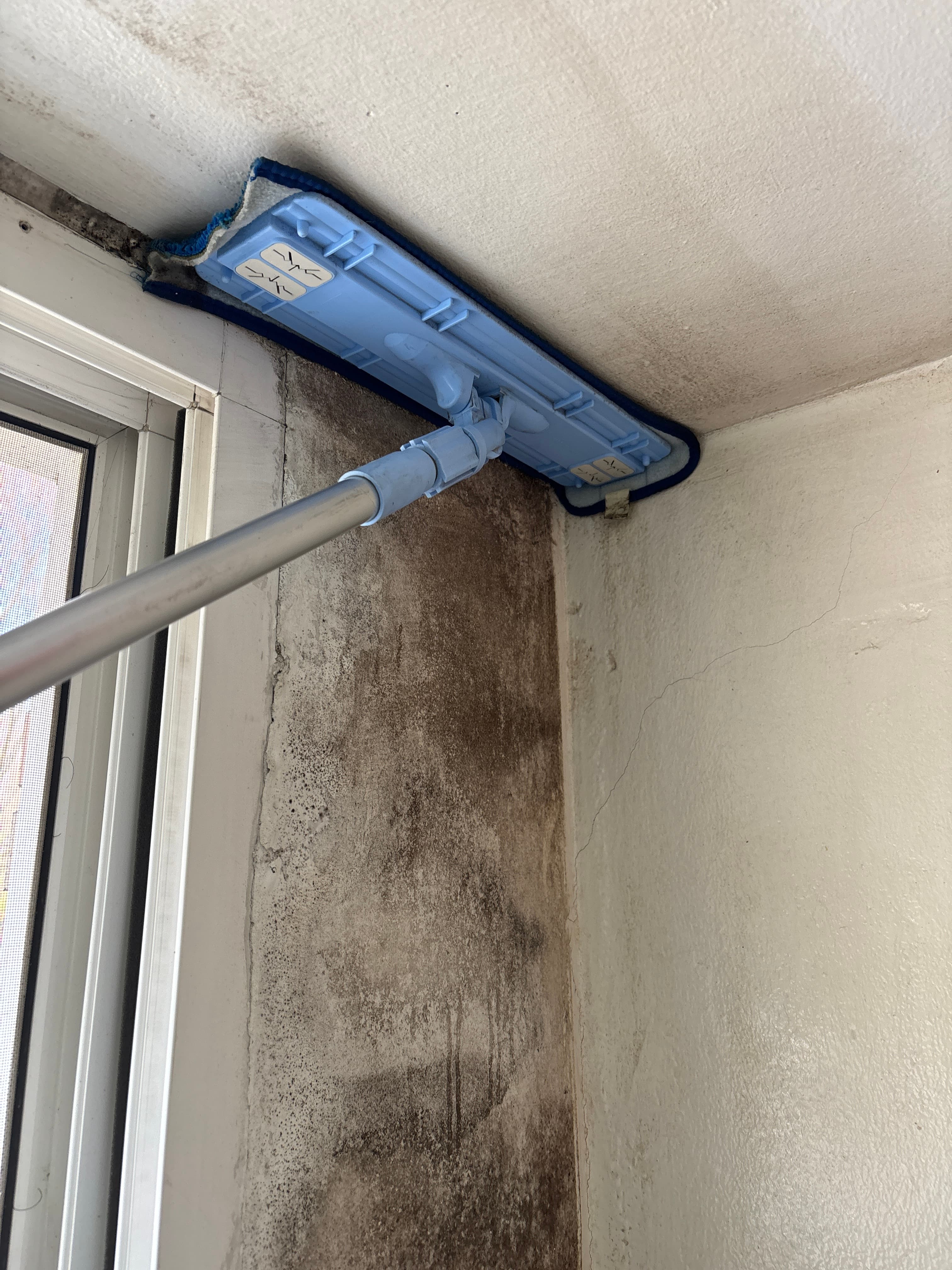 곰팡이제거 및 방지코팅